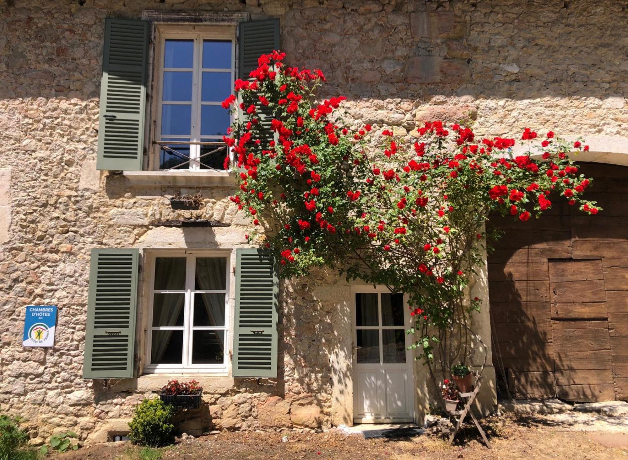 Domaine Du Tres-Haut - Chateau De Montanges Экстерьер фото