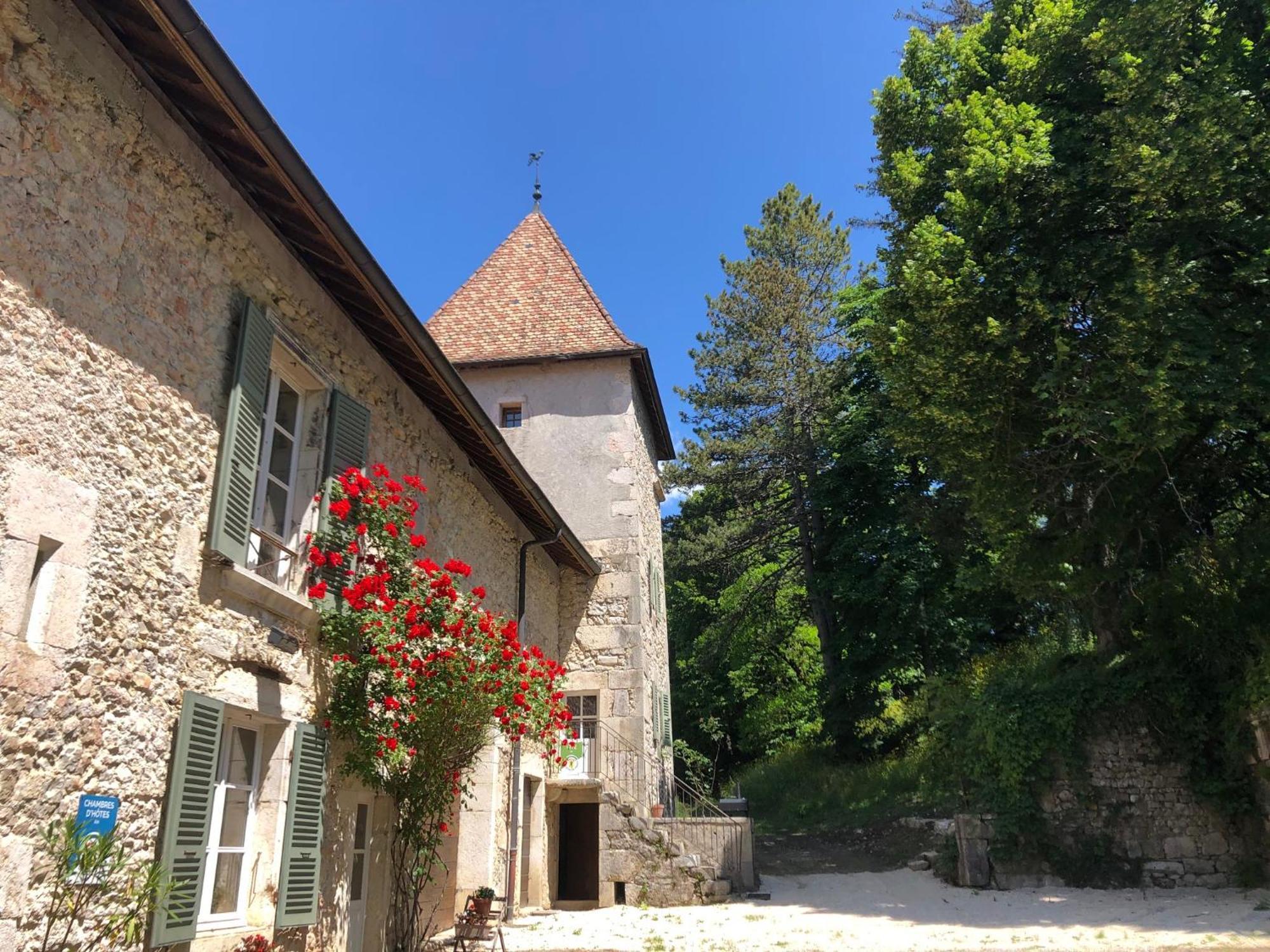 Domaine Du Tres-Haut - Chateau De Montanges Экстерьер фото